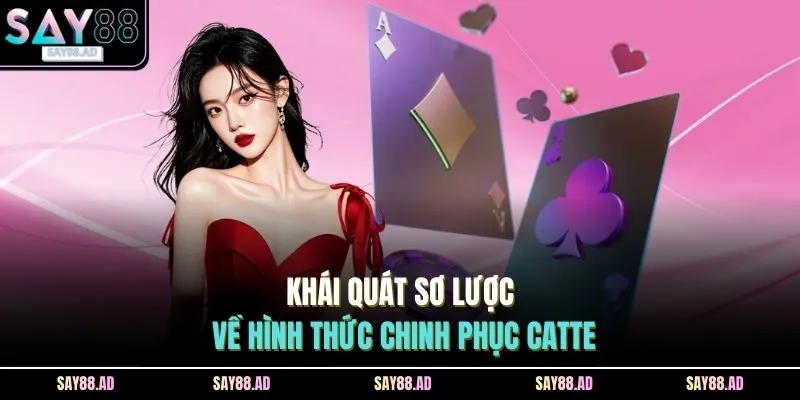 Khái quát sơ lược về hình thức chinh phục catte