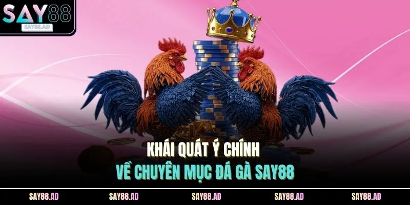 Khái quát ý chính về chuyên mục đá gà SAY88